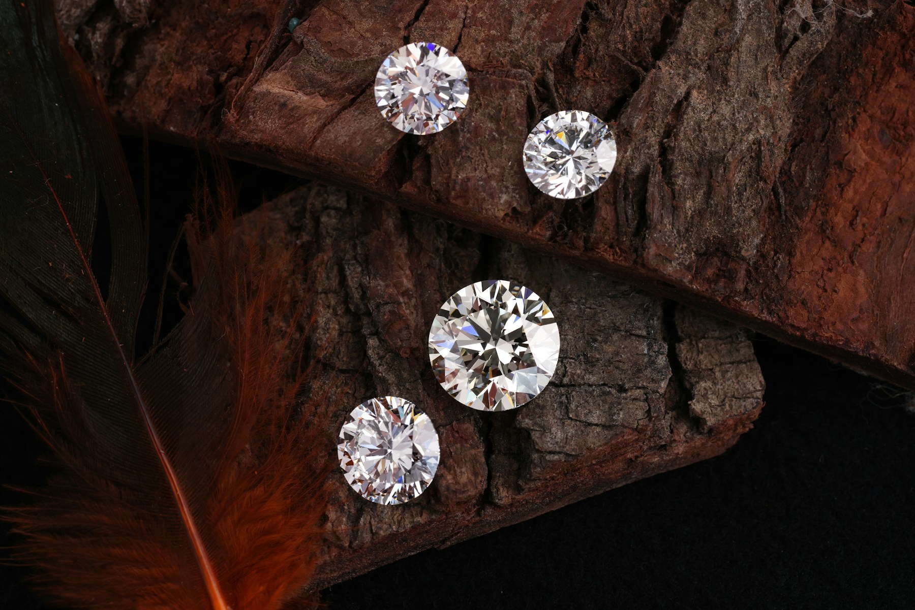 Cuatro diamantes redondos sobre corteza de madera oscura con una pluma naranja